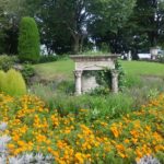 ハーブ?でビックリ