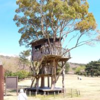 御客様一押✌️お花見?行ってきました?