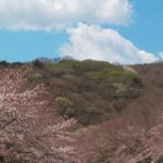 御客様一押✌️お花見?行ってきました?