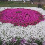 バス?旅行行って来ました！