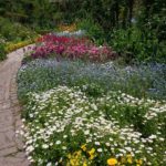 ローズガーデンの小鳥ハウスに行ってきました?